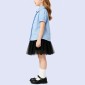 Classic Sky-Blue Ruffled Shirt